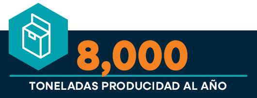 8 mil unidades producidas en 2024